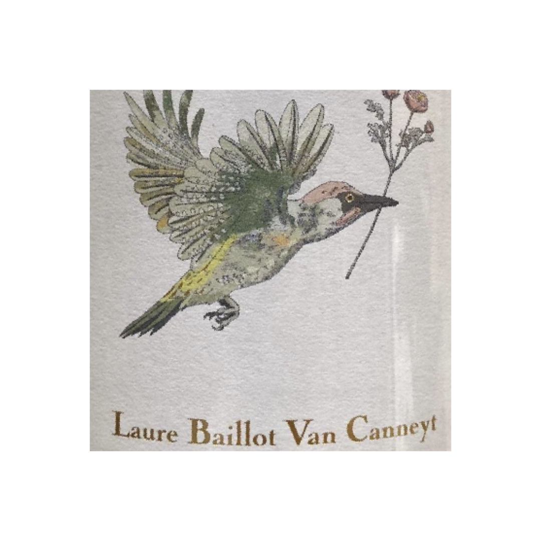 Laure Baillot Van Canneyt
