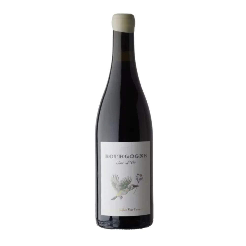 Laure Baillot Van Canneyt Bourgogne Côte d'Or Rouge 2022