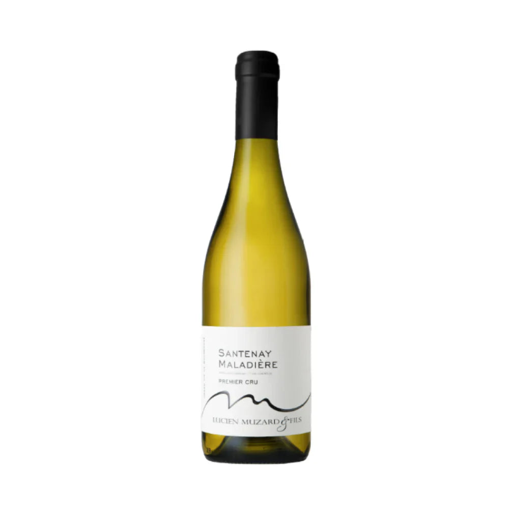 Lucien Muzard & Fils Santenay Maladière Blanc Premier Cru 2024
