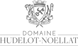 Billede til producenten Domaine Hudelot-Noëllat